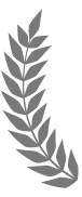 aaft