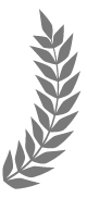 aaft