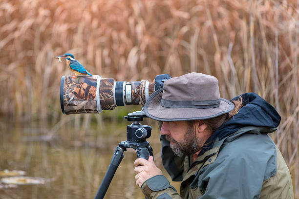 Nature & Wildlife Photography: How to Get the Perfect Shot 2 istockphoto 626056254 612x612 1