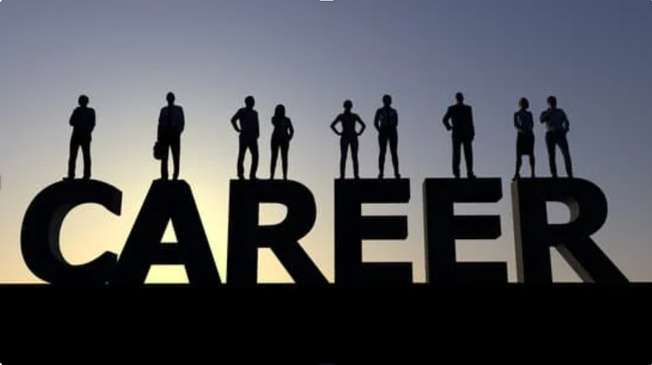 Interior Stylist Salary in India 2026: Career Scope, Earnings & Growth 3 Interior Stylist Salary in India